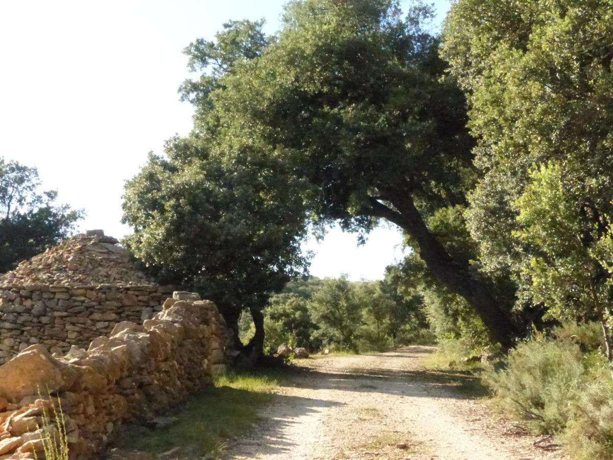 Molino Dolz Villa La Iglesuela del Cid Luaran gambar